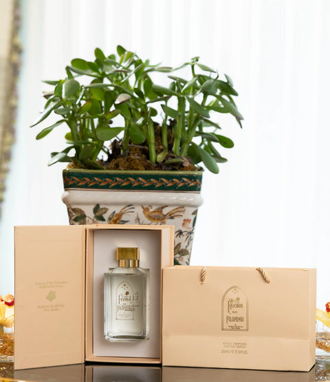 Elemi by Blaise Mautin Room Spray